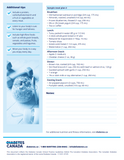 Getting started: healthy eating and diabetes (formerly known as Just the Basics)